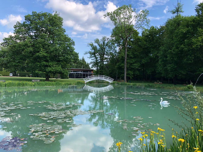 Le Domaine de la Muette